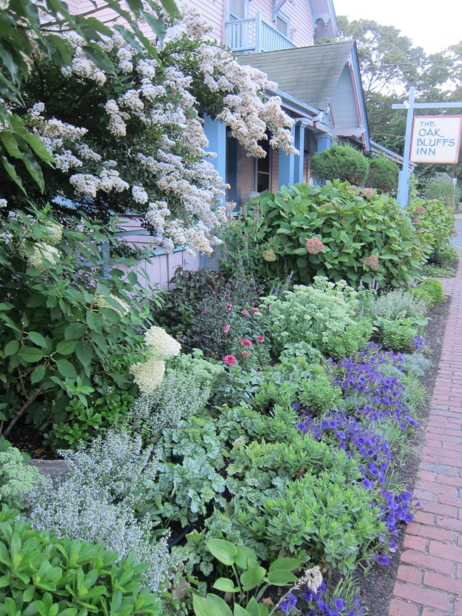 The Oak Bluffs Inn Esterno foto